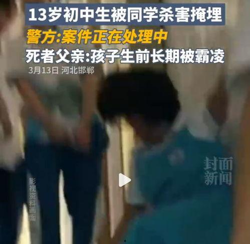 邯郸事件在线视频,揭秘一起引发社会关注的重大事件