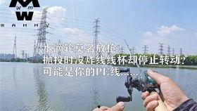 新手路亚在线视频,跟随在线视频轻松掌握技巧