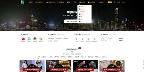 在线视频网站 那种